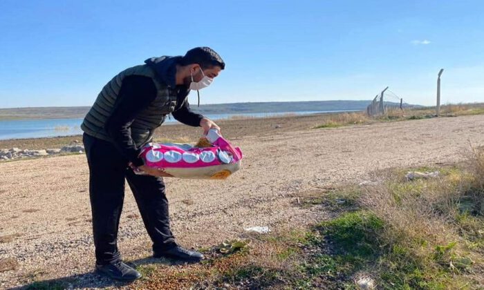 Kilis’te AK Parti gençlerden can dostlara mama desteği