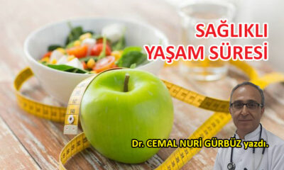 Sağlıklı yaşam süresi