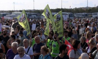 Sokak hayvanları yasa teklifi protesto edildi