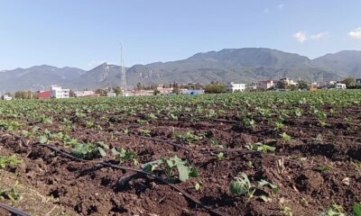 Çiftçi isyan etti: Tarlamızı ve traktörümüzü satacağız