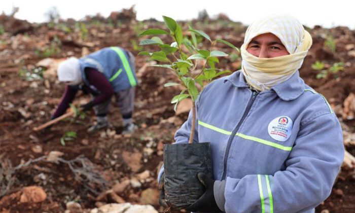 Denizli’ye Bal Ormanı yeşertiliyor