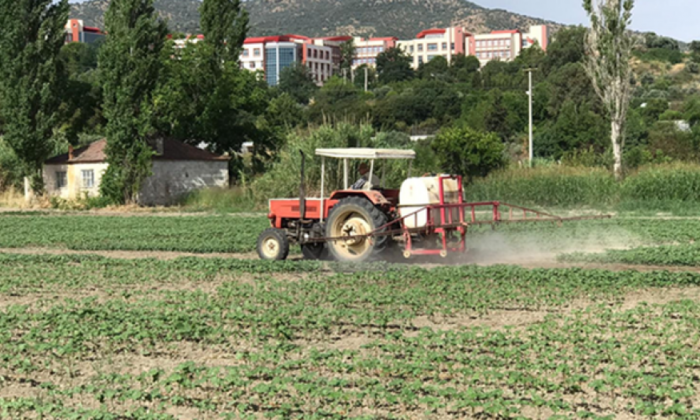 ADÜ kuraklığa dayanıklı pamuk tohumu geliştirdi