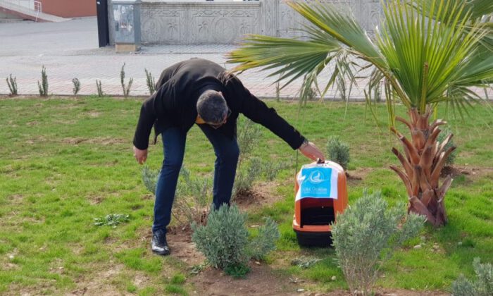 Adıyaman Kahta Ülkü Ocakları’ndan can dostlarını unutmadı