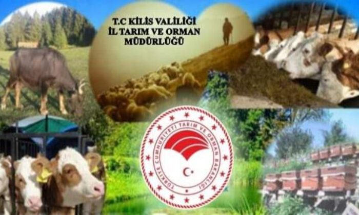 Kilis’te çiftçilere 5 milyon 404 bin liralık ödeme yapıldı