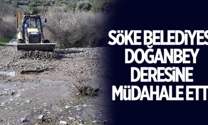 Aydın’da Doğanbey Deresi’nde ‘Söke’ müdahalesi