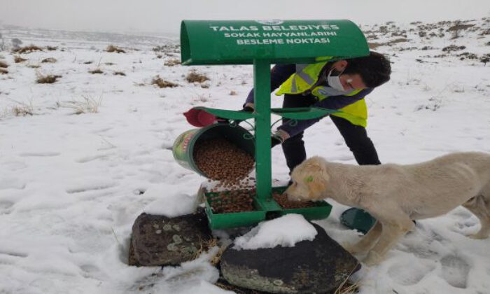 Kayseri Talas’ta can dostları özel ekiple besleniyor